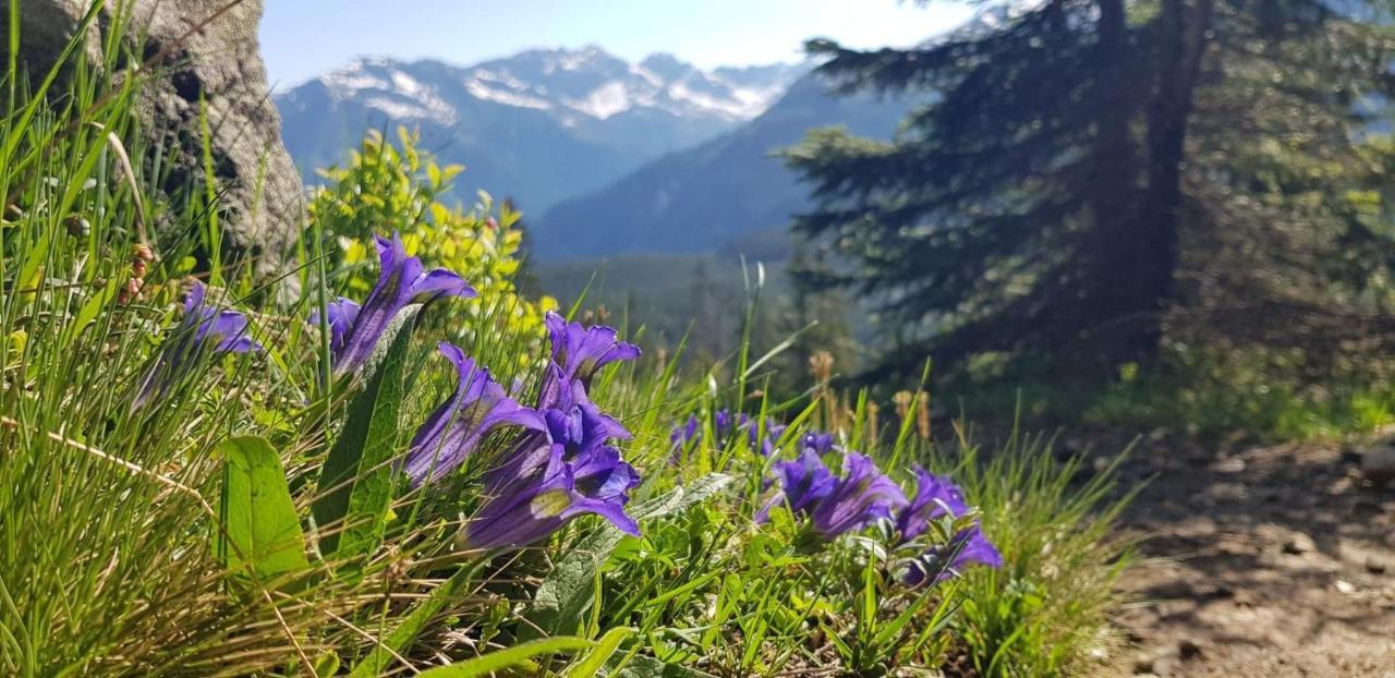 Triftblick Bed & Breakfast Gadmen Dış mekan fotoğraf