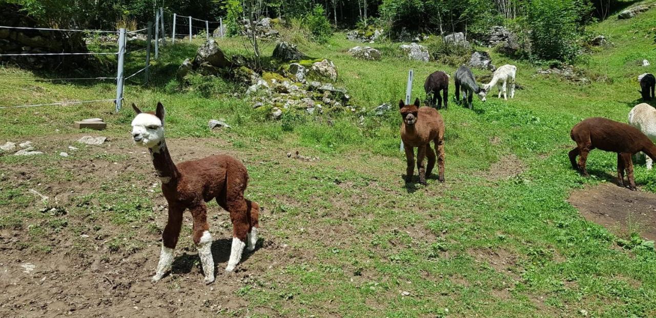 Triftblick Bed & Breakfast Gadmen Dış mekan fotoğraf